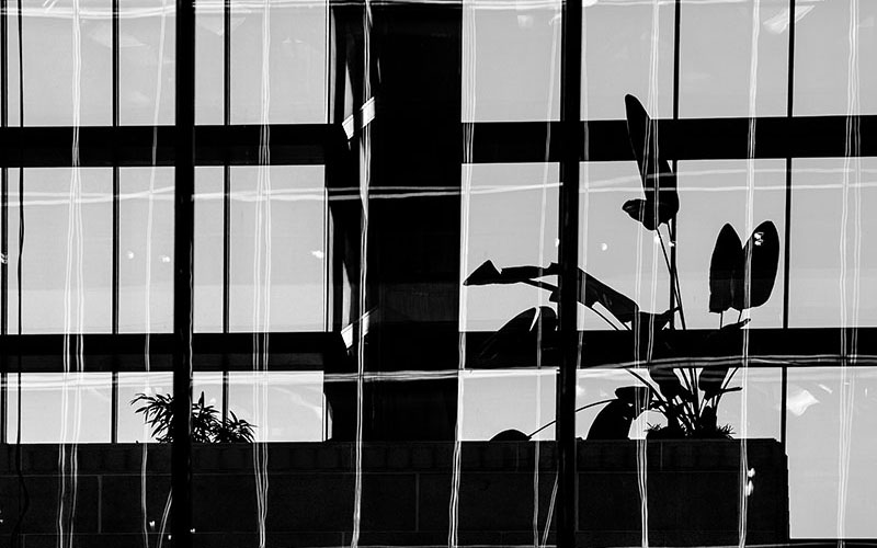 Silhouette of Office window