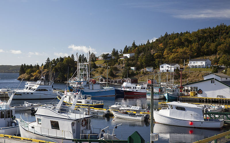 Harbour in Dildo Newfoundland
